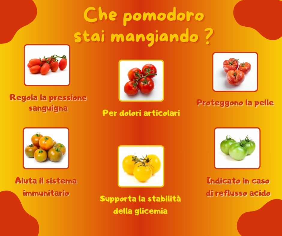 Pomodori: Guida Completa alle Varietà, Proprietà Curative e Sinergie Nutrizionali